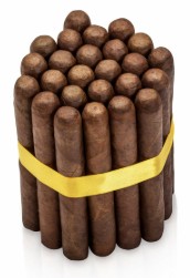 Private Blend — Toro Gorda cigar